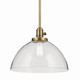 Avery One Light Pendant (43912NBR)