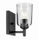 Shailene One Light Wall Sconce (45572BKCLR)