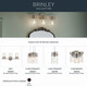 manufacturer_finish:Brushed Nickel