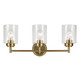 Winslow Three Light Bath (45886NBR)