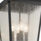 Forestdale Four Light Outdoor Pendant (49740BKT)