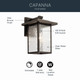 Capanna One Light Outdoor Wall Mount (49926OZ)