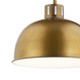 Zailey One Light Pendant (52152NBR)