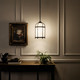 Topiary One Light Pendant (52464BKT)