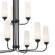 Truby Nine Light Chandelier (52482BK)