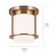 Brit One Light Flush Mount (52596CPZ)