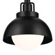 Niva One Light Wall/Semi Flush/Pendant (52601BK)