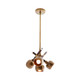 Pavo Four Light Pendant (DJ42004)