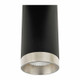Westgate - CMC2-TRM-BN - Ceiling Mount - Brushed Nickel