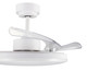 Stroll 42"Ceiling Fan (21612901)