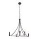 Four Light Chandelier (M100141MBK)