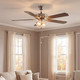 52" Ceiling Fan (M2019BNRV)