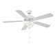 52" Ceiling Fan (M2019WHRV)