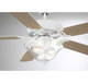 52" Ceiling Fan (M2019WHRV)