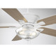 52" Outdoor Ceiling Fan (M2026WHRV)