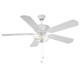 52" Outdoor Ceiling Fan (M2026WHRV)