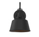 Moutd One Light Outdoor Wall Lantern (M50049BK)