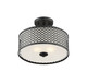 Msemi Two Light Semi-Flush Mount (M60016MBK)