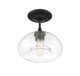 Msemi One Light Semi-Flush Mount (M60017MBK)