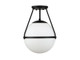 Msemi One Light Semi-Flush Mount (M60054MBK)