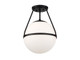 Msemi One Light Semi-Flush Mount (M60054MBK)