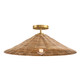 One Light Semi-Flush Mount (M60074NB)