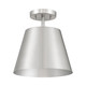 One Light Semi-Flush Mount (M60076BN)