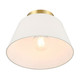 One Light Semi-Flush Mount (M60077NB)