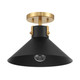 One Light Semi-Flush Mount (M60078MBKNB)