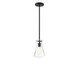 Mpend One Light Pendant (M70063MBK)