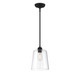 Meridian - M70081MBK - One Light Pendant - Mpend - Matte Black