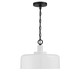 One Light Pendant (M70103WHBK)