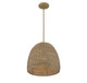 One Light Pendant (M70107NWIC)