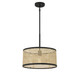One Light Pendant (M7018MBK)