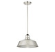 One Light Pendant (M7021PN)