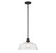 Meridian - M7023ORB - One Light Pendant - Oil Rubbed Bronze