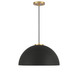 One Light Pendant (M7024MBKNB)