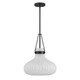 One Light Pendant (M7046MBK)