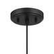One Light Pendant (M7049MBK)