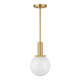 One Light Pendant (M7050NB)