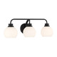 Three Light Bathroom Vanity (M80081MBK)