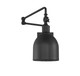 One Light Wall Sconce (M90019MBK)