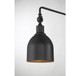 One Light Wall Sconce (M90019MBK)