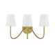 Mscon Three Light Wall Sconce (M90056NB)