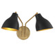 Two Light Wall Sconce (M90075MBKNB)