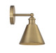 One Light Wall Sconce (M90087NB)