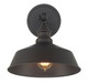 One Light Wall Sconce (M90090ORB)