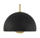 One Light Wall Sconce (M90094MBKNB)