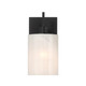One Light Wall Sconce (M90116MBK)