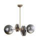Whitney LED Chandelier (DLC05)